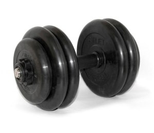 Гантель разборная 27 кг МВ Barbell MB-FdbM-At27